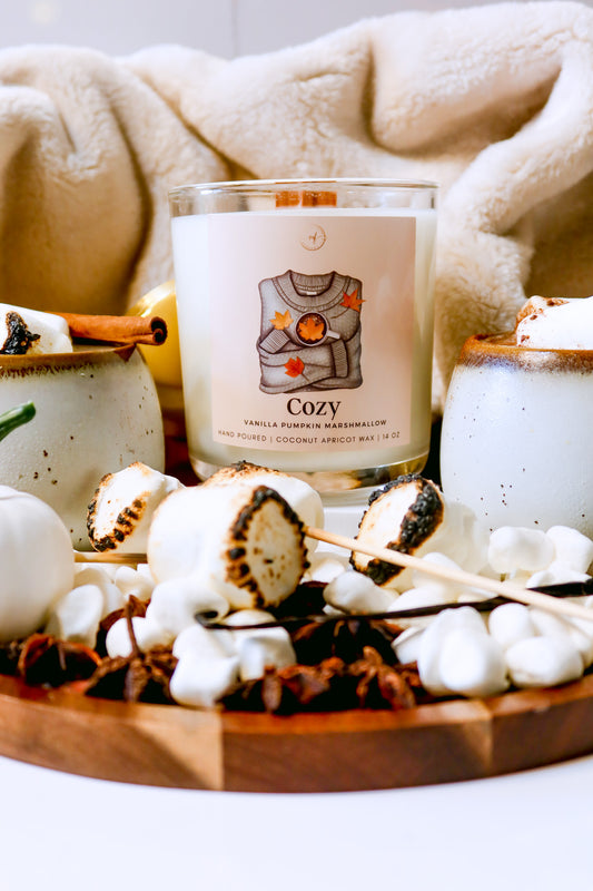 Cozy Coconut Apricot Wax Candle